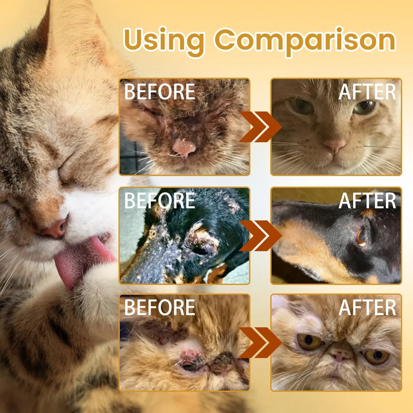 Pet Moss Essence Anti-Itch Anti-flea Mites Ticks Spray For Cat And Dog Skin Problems Pet Healthy Care